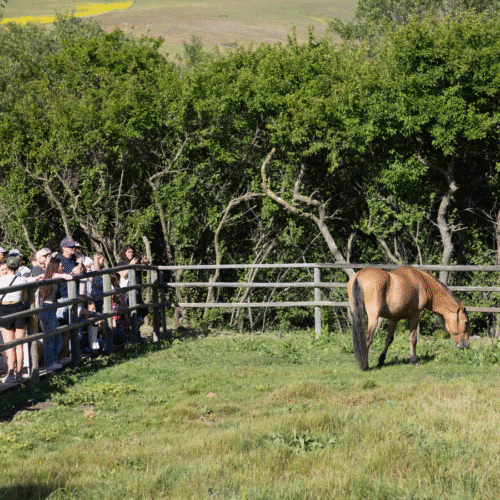 300+ visitors celebrate Spirit’s 30th birthday, 2025 Opening Day!