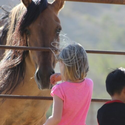 Spirit: An American Icon