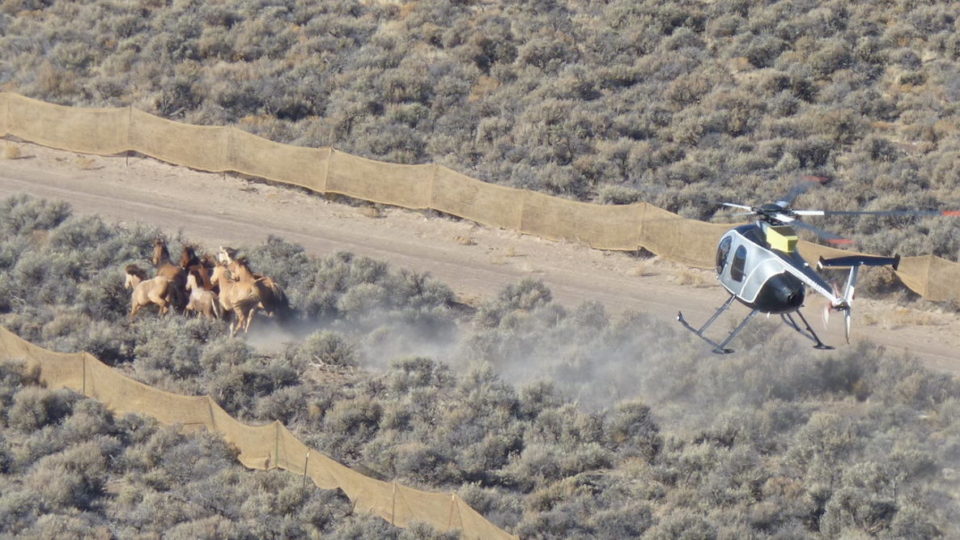 22447576123_811baadf43_k