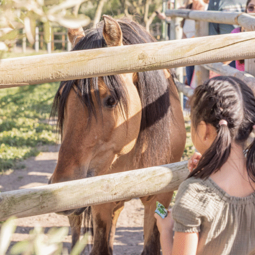 300+ visitors celebrate Spirit’s 30th birthday, 2025 Opening Day!