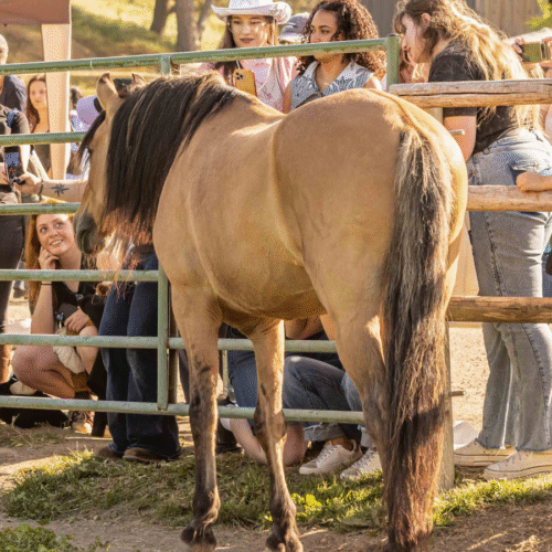 300+ visitors celebrate Spirit’s 30th birthday, 2025 Opening Day!