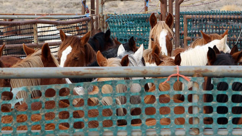 40001082122_92b3a4c1f6_c