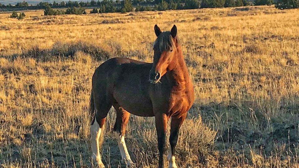 48881833346_ca4e7fdf1a_h