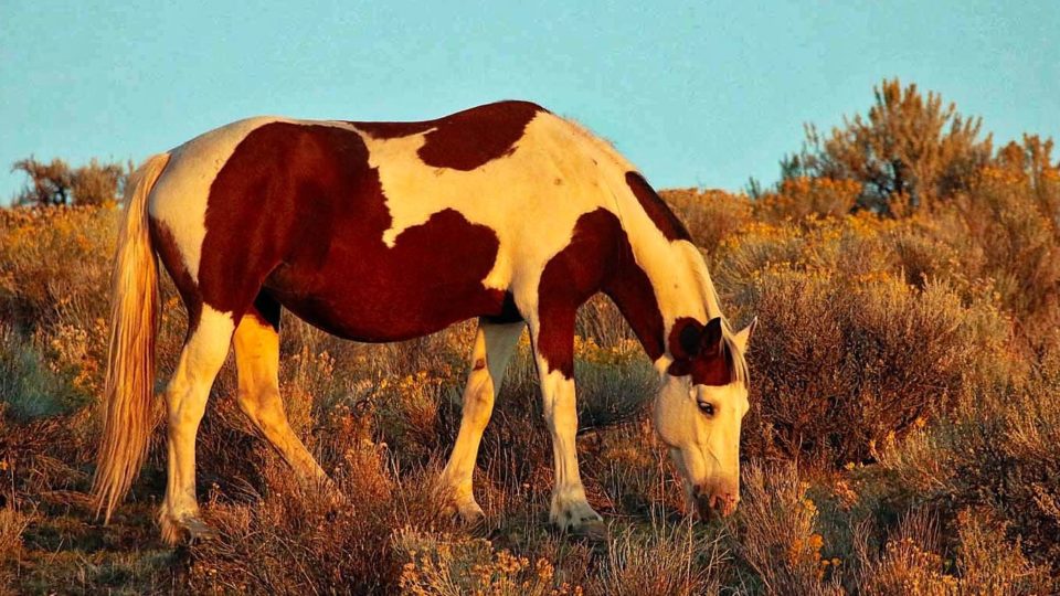 48882019002_7d1ed4aac2_h