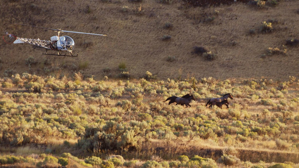 4908362980_0d77968be6_c