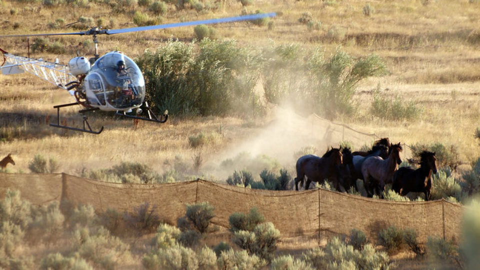 4908363626_2370157737_c