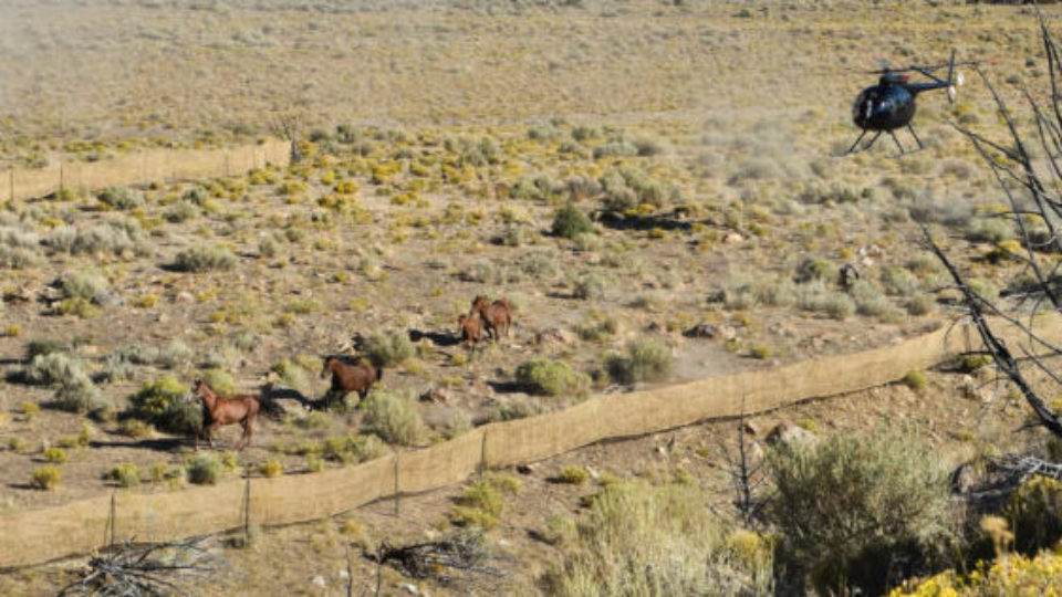 50332560002_7b65e763b7_k