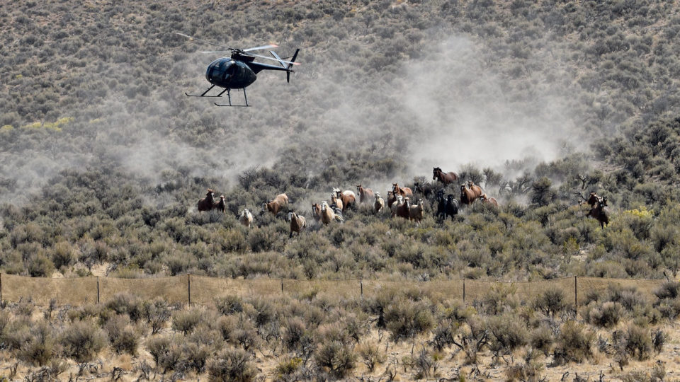 50351295266_1be7e22c0e_k