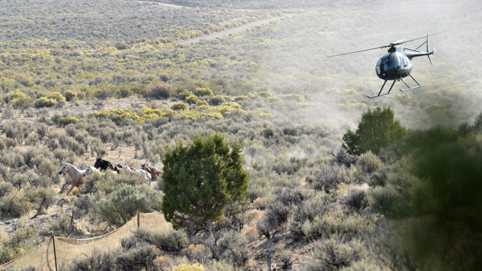 50351433777_d37192cf5a_k