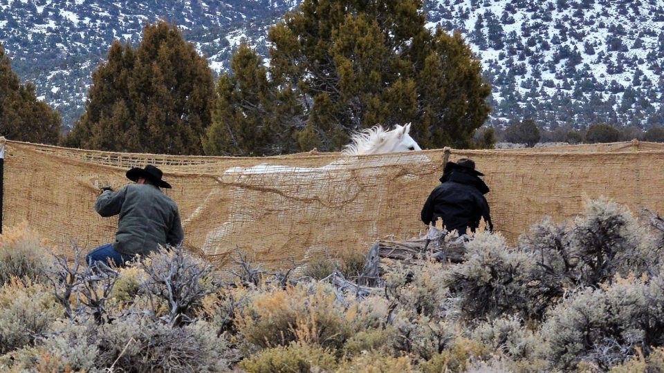 50744960671_380f06c40b_k