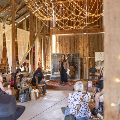 300+ visitors celebrate Spirit’s 30th birthday, 2025 Opening Day!