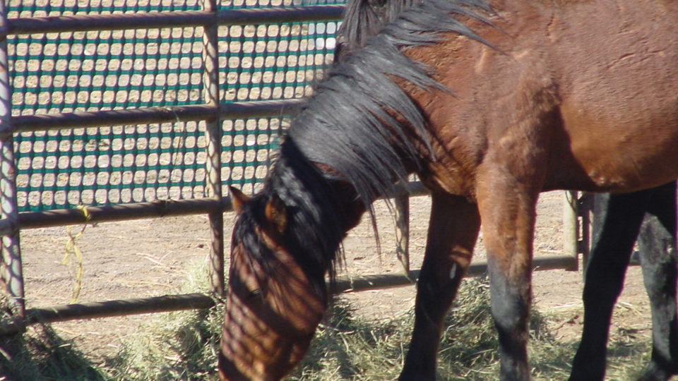 6696657415_6da598d222_h