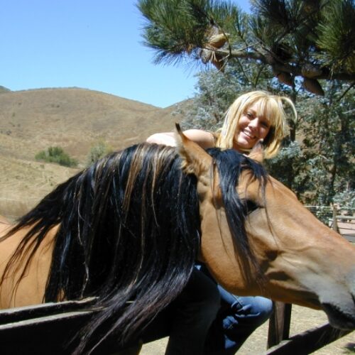 Spirit: An American Icon