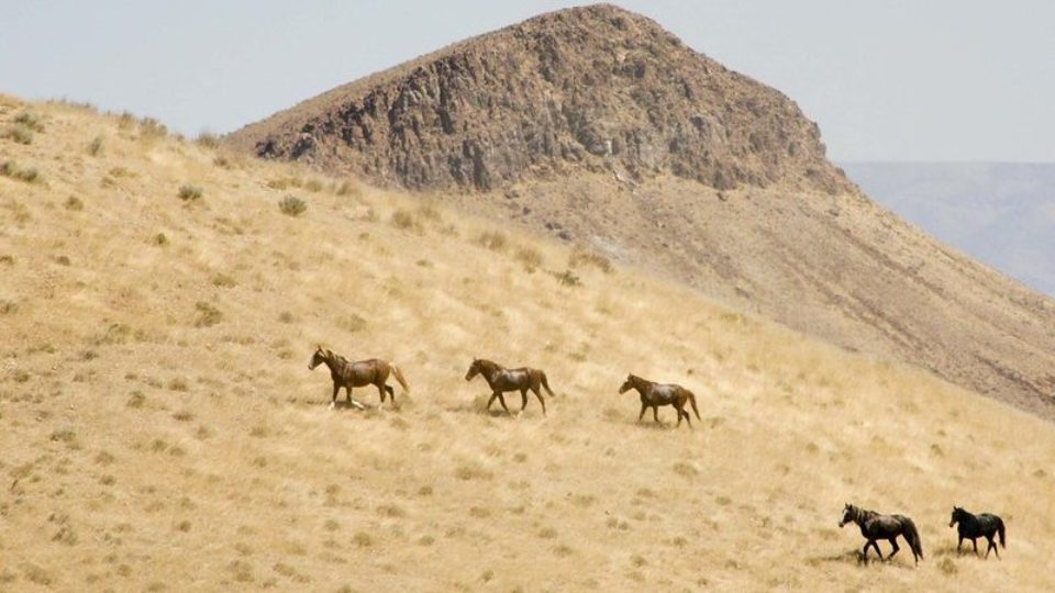 7503868028_15ab5cb953_c