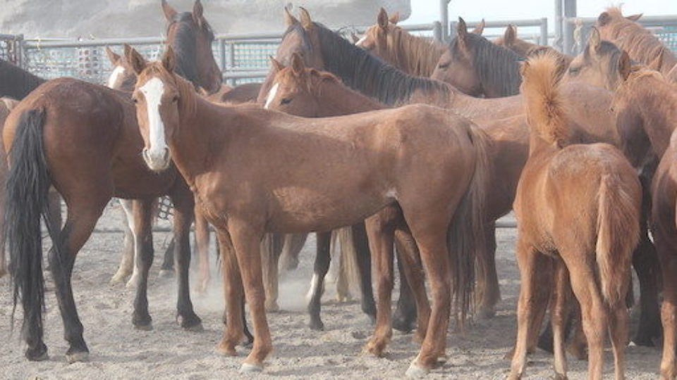 8058440282_162cb67923_k