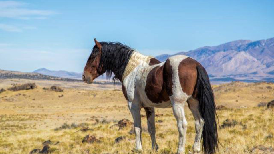 83159890_1429081173937091_988203684829593600_n