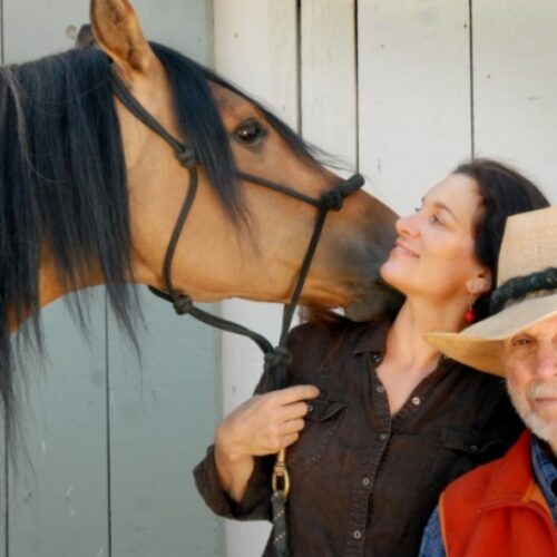 Spirit: An American Icon