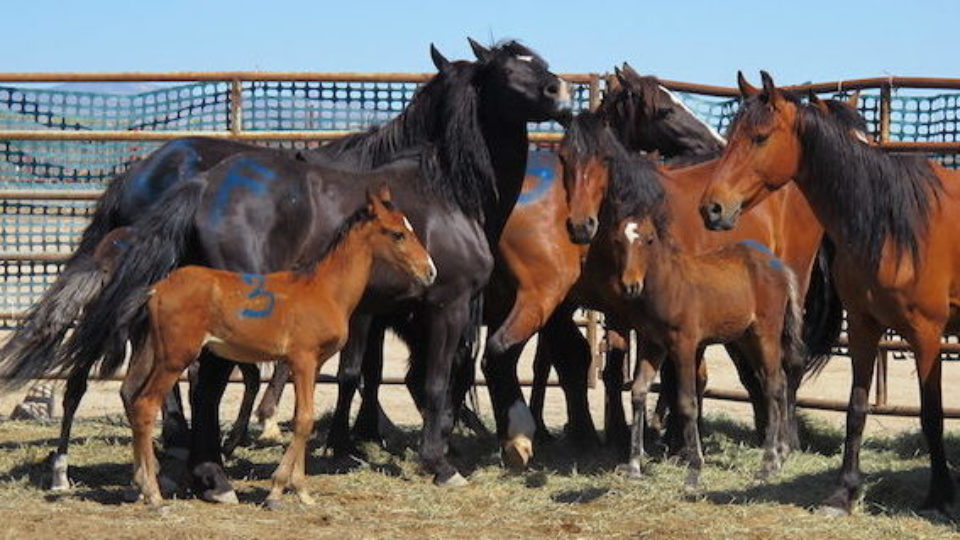 9671183285_1704898e93_k