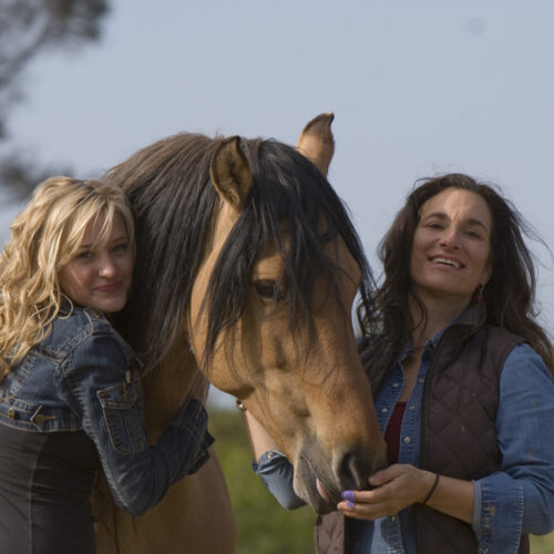 Spirit: An American Icon