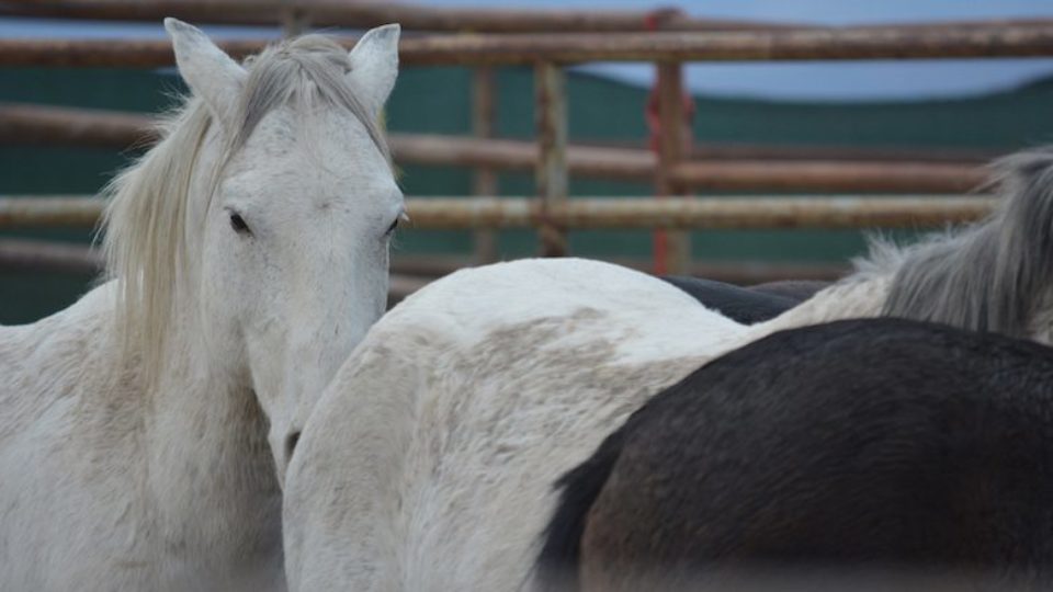 BLM Seaman gather photo