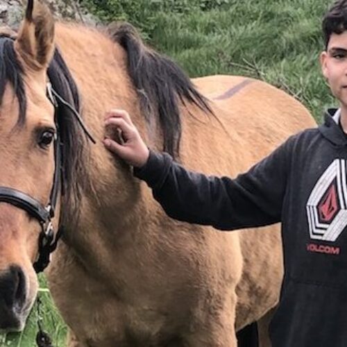 Spirit: An American Icon