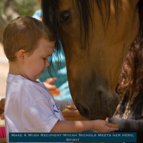 Spirit: An American Icon