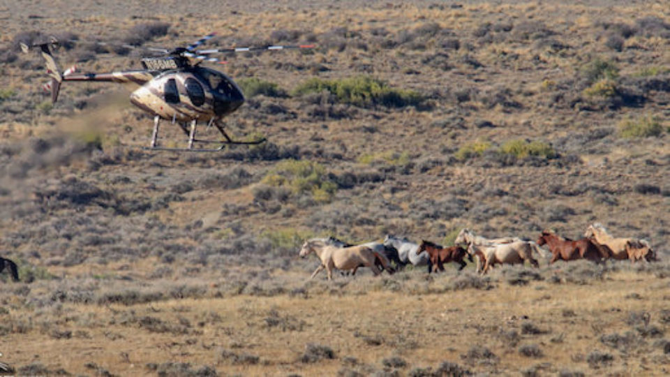 Salt-Wells-9-27-2959-1-2