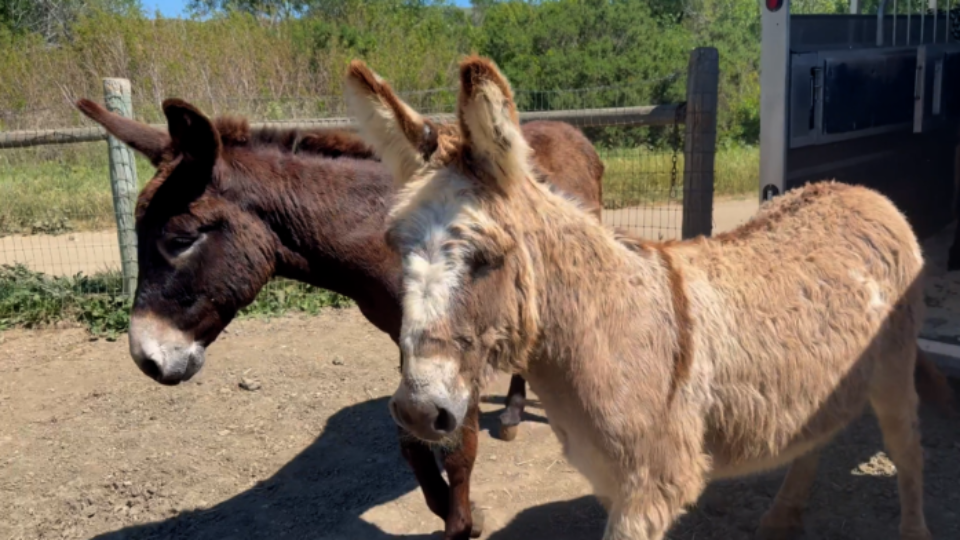 Screen Shot 2026-04-07 at 10.34.39 AM