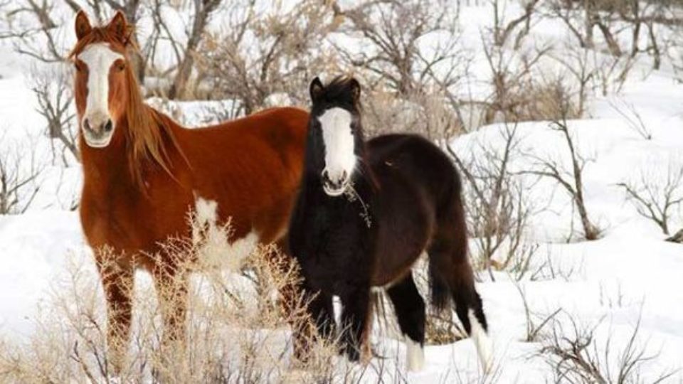 co_sandwash_photo3_20161004