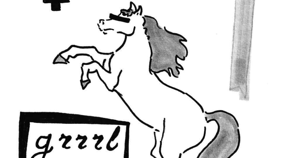 riothorse (1)