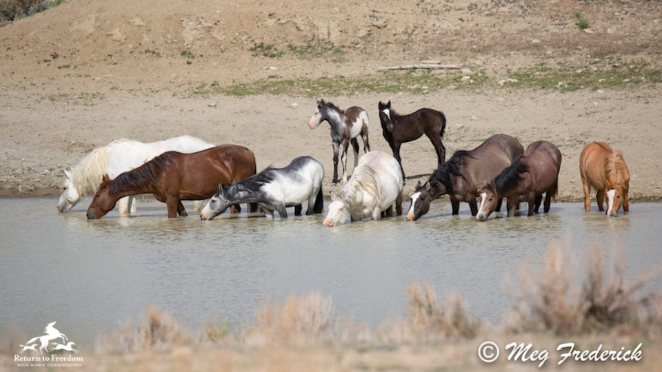 sand wash family meg f